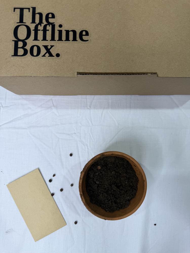 Inside the Offline Box