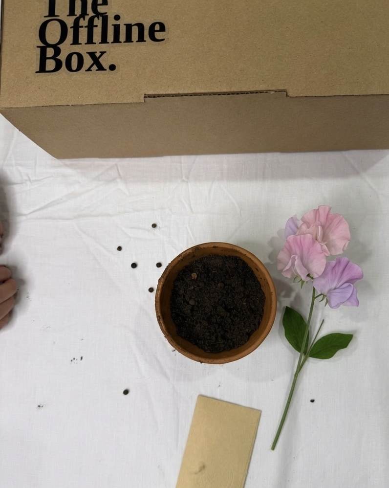 Inside the Offline Box