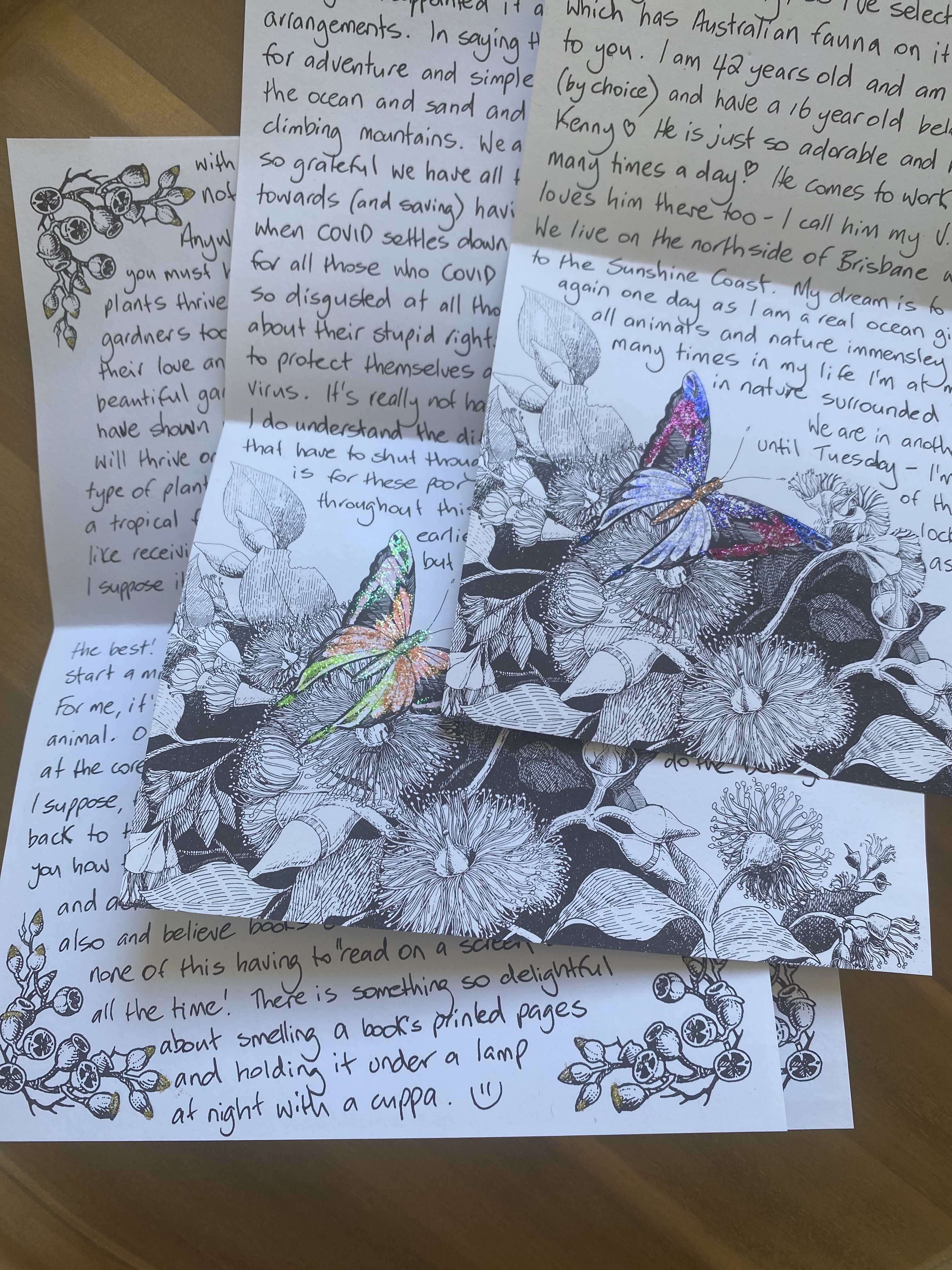 A handwritten letter with botanical illustrations and pressed-paper butterflies