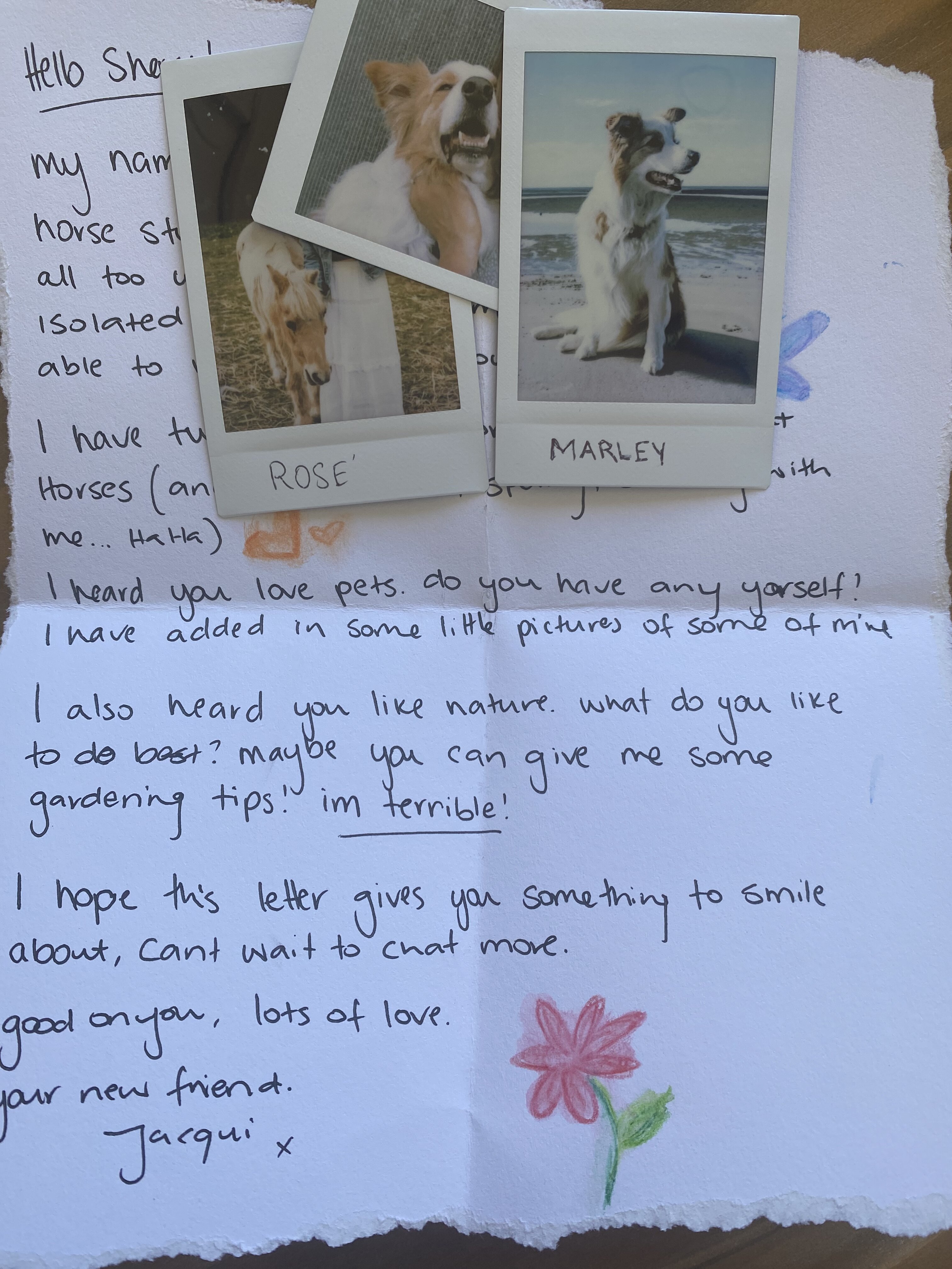 A handwritten letter with polaroid photos of pets and a child's drawing