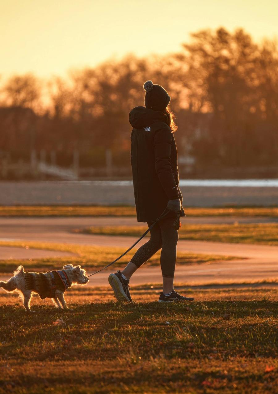 An evening walk with the dog at golden hour