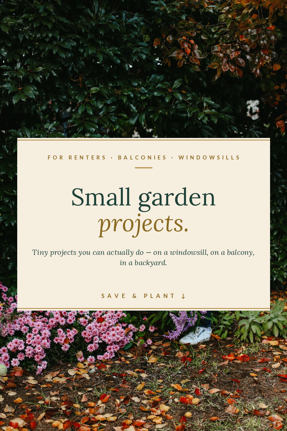 Small Garden Projects You Can Do on a Windowsill